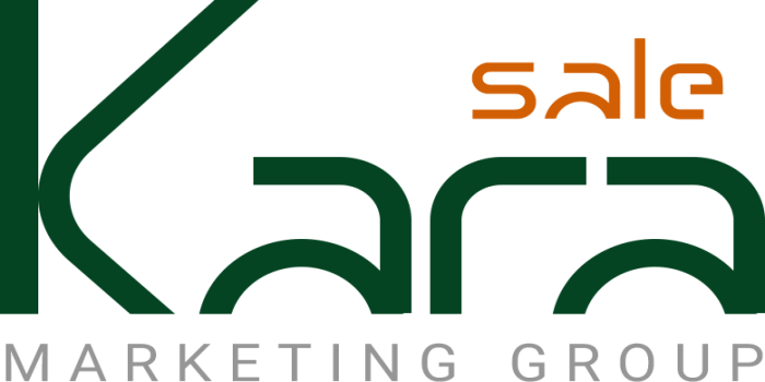 افتتاحیه وب سایت Kara sale