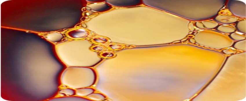 فروش عمده جو روس و قزاقستان